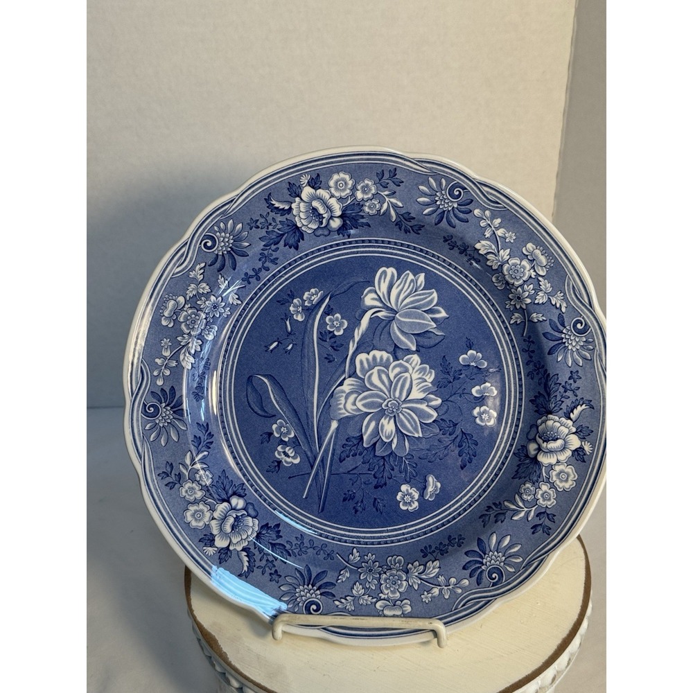 The Spode Blue Room Collection "Botanical" 1820 England Perfect Condition